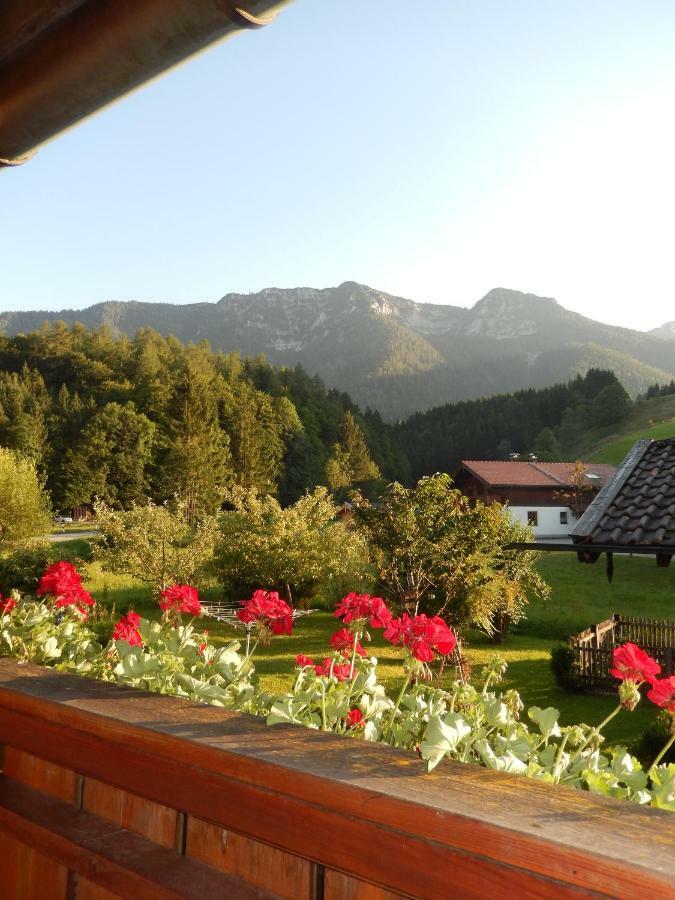 Haus Bergschmied Apartment Inzell Exterior foto